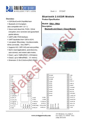 RN-21 datasheet  